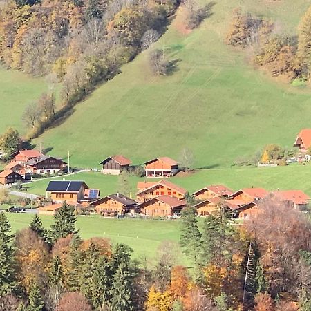 Chalet Park Apartment Mit Sauna Hamam Diemtigen Екстериор снимка