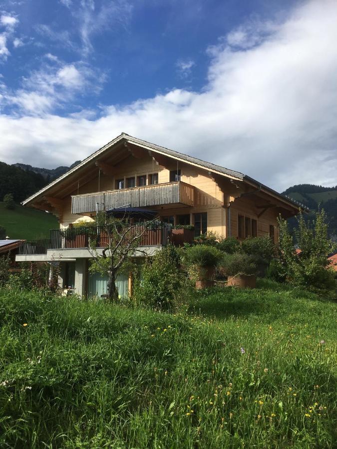 Chalet Park Apartment Mit Sauna Hamam Diemtigen Екстериор снимка